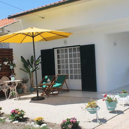 Casa Das Camelias أفيرو المظهر الخارجي الصورة
