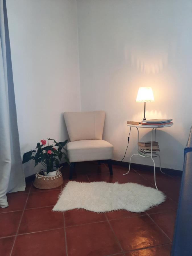 Casa Das Camelias أفيرو المظهر الخارجي الصورة